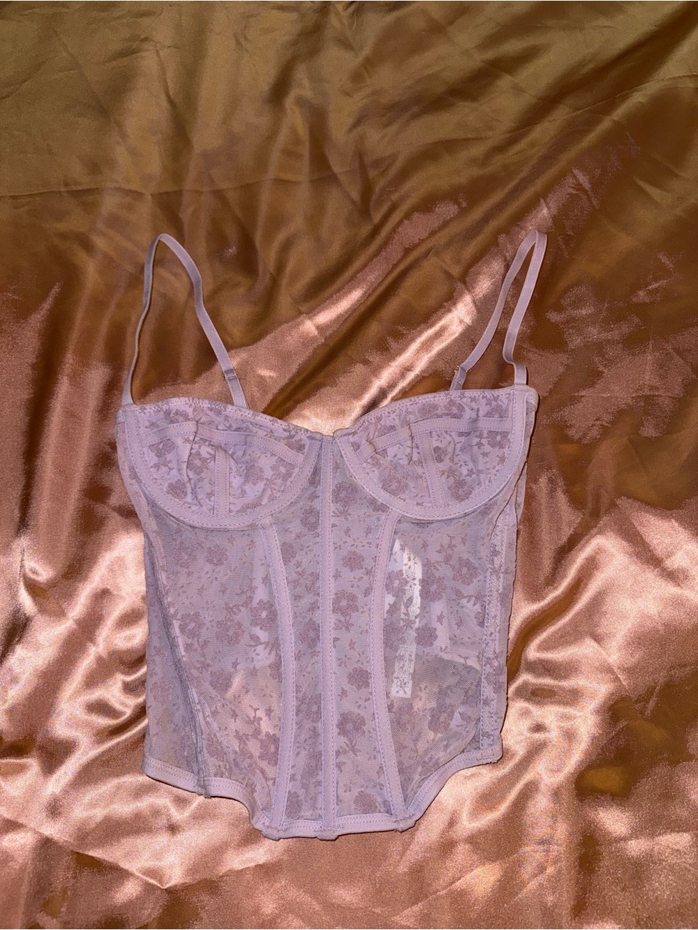Urban Outfitters Sheer Floral Lace Corset Cami in Light Pink